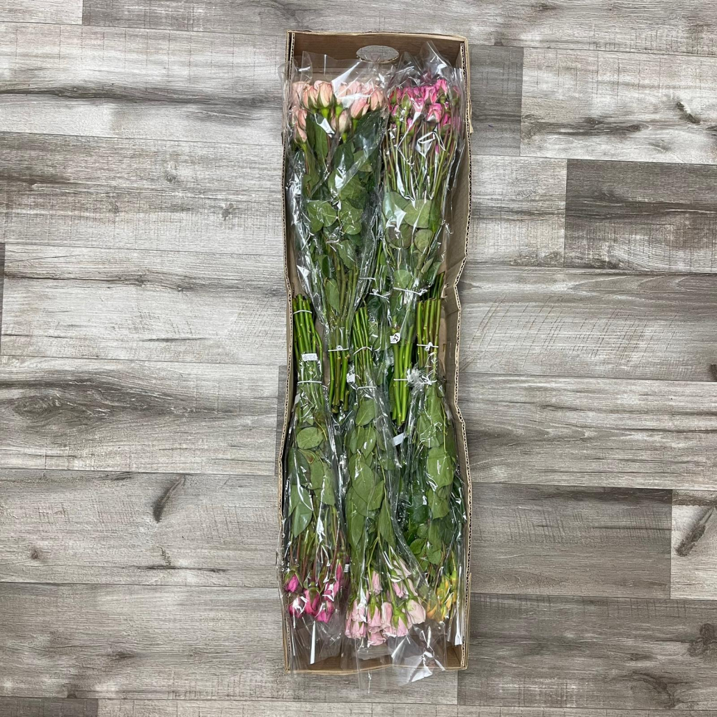 Warehouse Mini Roses Mini Rose Assorted Box 120 Stems - FlowersAndServices® Nationwide